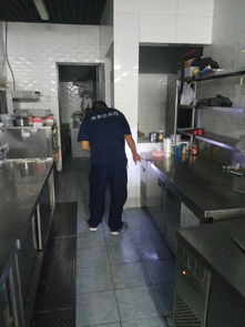 专业高效，安心无忧 西城远洋风景小区家庭上门灭蟑螂服务详解