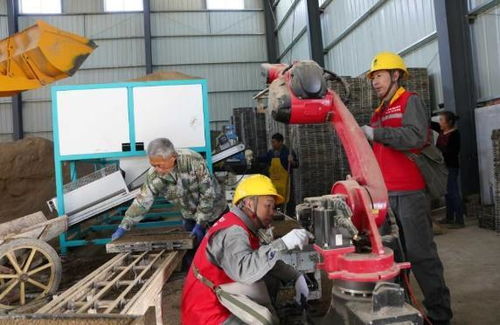 垫江“红马甲”化身“电保姆”，为春耕春播注入暖心动力